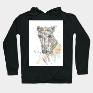 Brindle greyhound portrait Hoodie